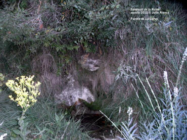 ag2011-Fuente de La Corva 079.JPG (187114 bytes)